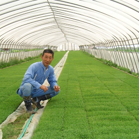 ≪平成24年新米≫ほしのゆめ 5kg 希少な北海道蘭越富岡産(送料無料!)の画像