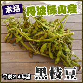 本場丹波篠山産!日本一の贅沢な枝豆『黒枝豆』1kgを産地直送!の画像