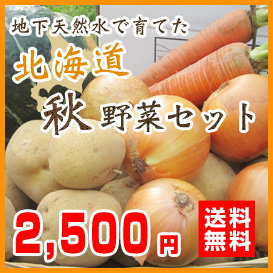 北海道秋野菜