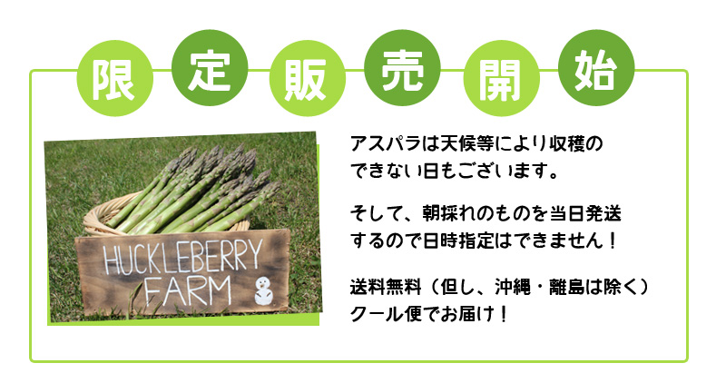 近日販売開始