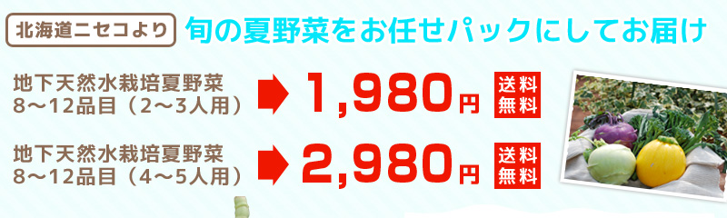 旬の野菜をパックにしてお届けします。